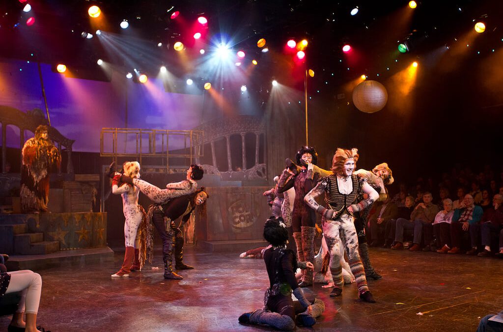 Cats 2011